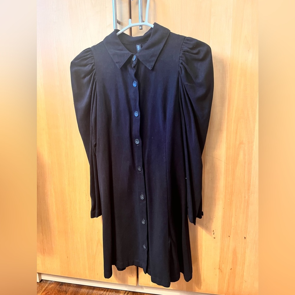 Zara Puff Sleeve Dress